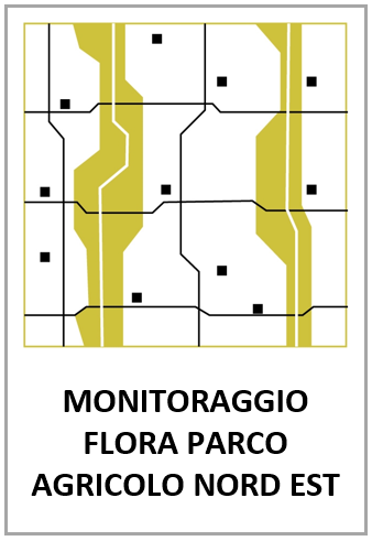 Campagna_PANE.png
