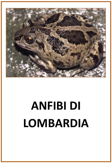 Campagna ANFIBI