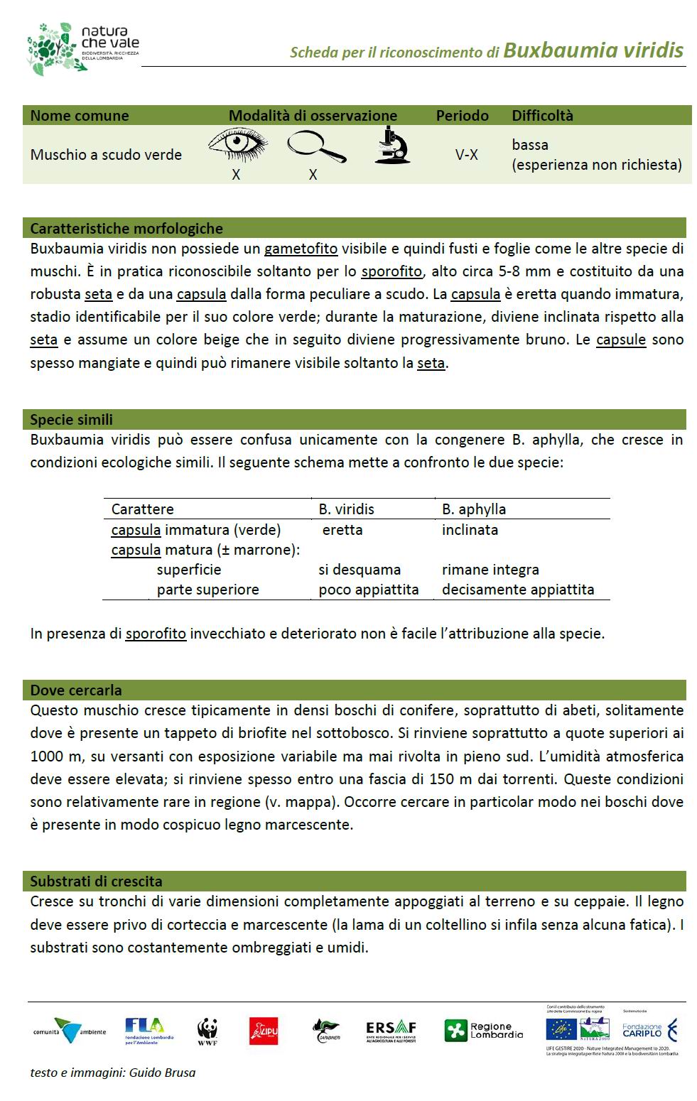 scheda briofite copertina